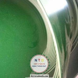 Băng Tải Xanh Trắng