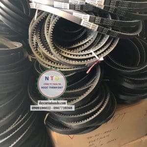 Dây curoa BANDO RPF5570