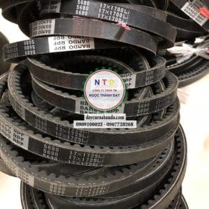 Dây curoa BANDO RPF5680