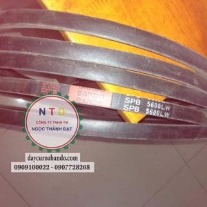 Day curoa BANDO SPB5600LW 1