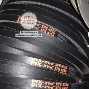 Day curoa BANDO XPB4250 1