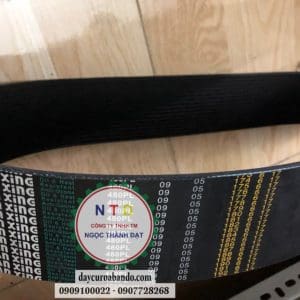 Dây curoa SAN XING 480PL