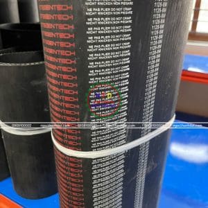 Dây curoa Steigentech 1126--8M