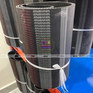 Dây curoa Steigentech 2240-8M