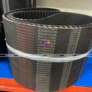 Dây curoa Steigentech 2450-S14M