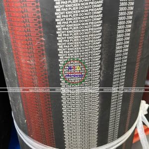 Dây curoa Steigentech 3800-20M