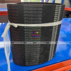 Dây curoa Steigentech 864-8M