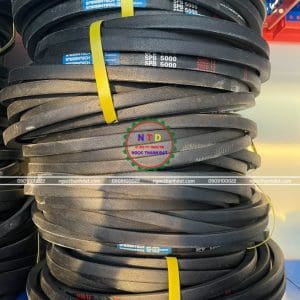 Dây curoa Steigentech SPB5000