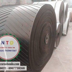 Băng tải cao su 800 RĂNG V