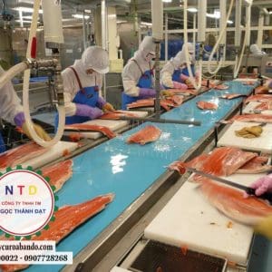 Băng tải PU THỰC PHẨN