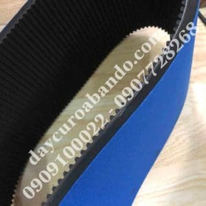 DÂY CUROA 1632-8M-300 dán muốt