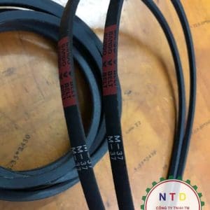 DÂY CUROA BANDO M37