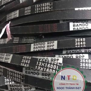 DÂY CUROA BANDO RPF3640