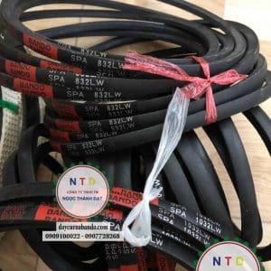 DÂY CUROA BANDO SPA1032