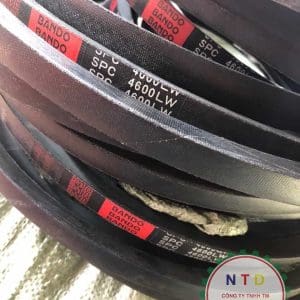 DÂY CUROA BANDO SPC 4600
