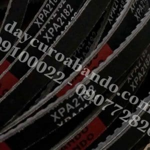 DÂY CUROA BANDO XPA2182