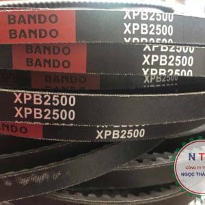 DÂY CUROA BANDO XPB2500