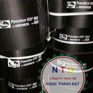 Dây curoa Gates 4200-20M-290