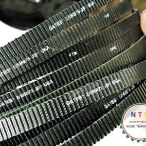 DÂY CUROA GATES 5M875-2R