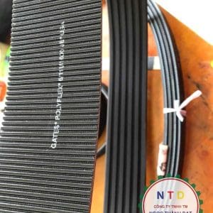 Dây curoa Gates 611M-1600