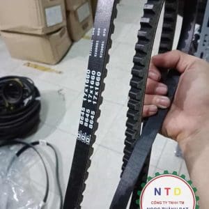 Dây curoa DYNA 8645