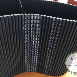 DÂY CUROA GATES D5M615