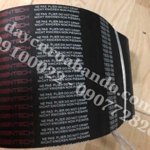 DÂY CUROA STEIGENTECH 1600-8M