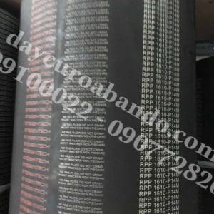 DÂY CUROA STEIGENTECH 1610-RPP14M