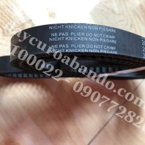 DÂY CUROA STEIGENTECH 2080-8M