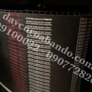 DÂY CUROA STEIGENTECH 2800-14M