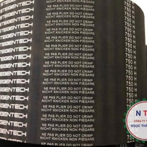 DÂY CUROA STEIGENTECH 750H