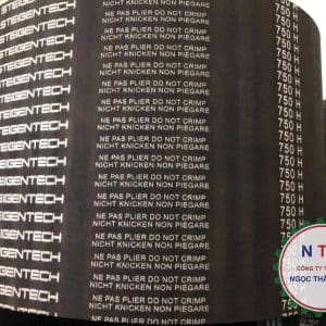 DÂY CUROA STEIGENTECH 750H