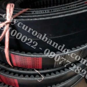 DÂY CUROA STEIGENTECH BX61-2R