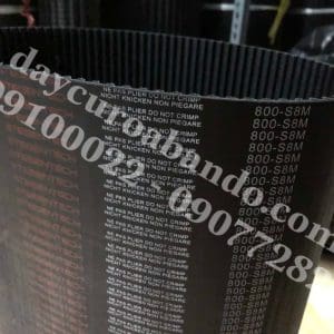 DÂY CUROA STEIGENTECH S8M800