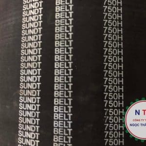 DÂY CUROA SUNDT 750H