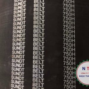 DÂY CUROA SUNDT 750H