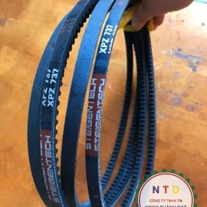 Dây curos Steigentech XPZ737