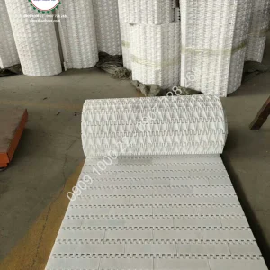 BĂNG TẢI NHỰA H25